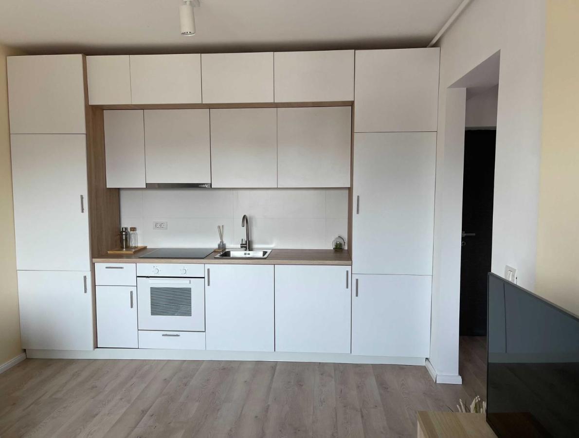 Platinum Luxury Apartment Near Presidential Palace Bukarest Exterior foto